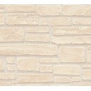 Ταπετσαρία Τοίχου AS66232-3